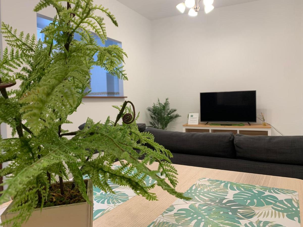 Botanic Suite マラガ エクステリア 写真